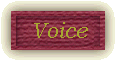 Voice