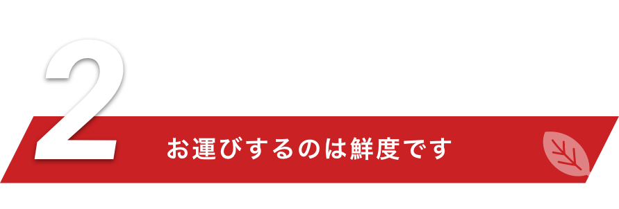 お運びするのは鮮度です