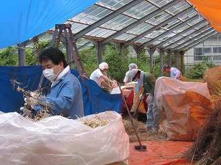 IMG_5317_1.jpg